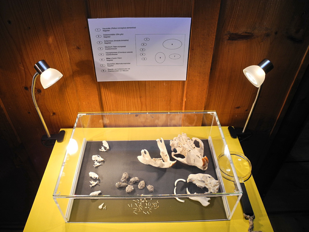 DSCN1397_JPG-1363589082