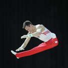 Baldauf-EM Finale 2012.jpg