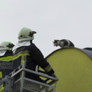 Tierrettung in Strasshof: Feuerwehr holt Katze von Dach