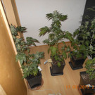 18-03-2013 13-11-05.jpg