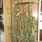 18-03-2013 13-13-10.jpg