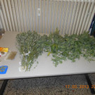 18-03-2013 13-13-38.jpg