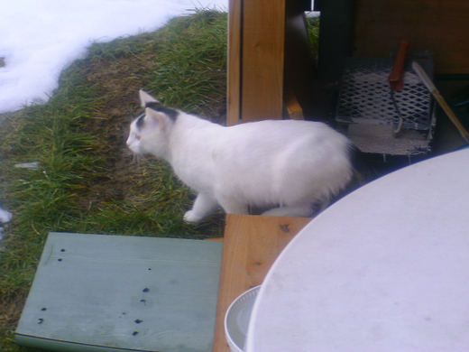 BILD0407.JPG