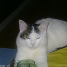 BILD0437.JPG