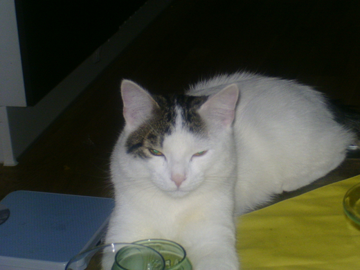 BILD0437.JPG