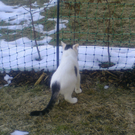 BILD0441.JPG
