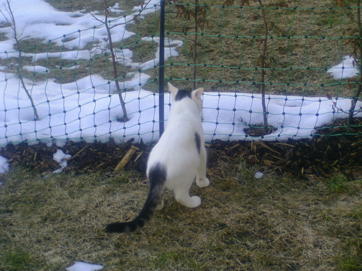 BILD0441.JPG