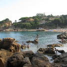 IMG_4964.JPG