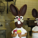 IMG_6971_JPG-1363617486