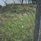 M__rz 18 3 001.JPG