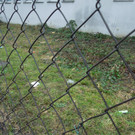 M__rz 18 3 002.JPG