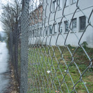 M__rz 18 3 004.JPG