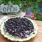 20-03-2013 09-20-12.jpg