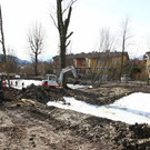 Revitalisierung der Weiher