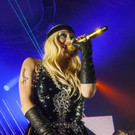 file68jt22o0zle7556i8jr.jpg