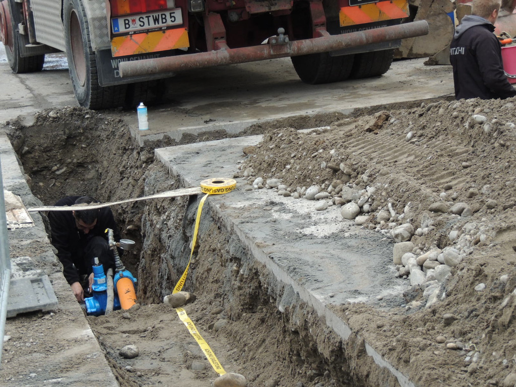 DSCN7088_JPG-1363828044