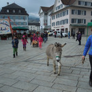 Landeslesetag 068.JPG