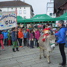 Landeslesetag 071.JPG