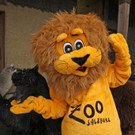 ZooSBG_Maskottchen_Alpakas.jpg