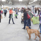 Edelstoff_03_Location__c_ Gregor Schweinester_mid.jpg