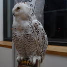 DSC_0009-1.jpg