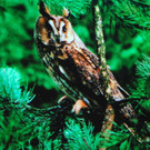 DSC_0043-1.jpg