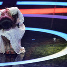 IBD1433-20130321.jpg
