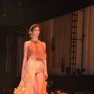 Vienna Awards for Fashion 2013