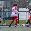 IMG_9234_jpg-1363957987