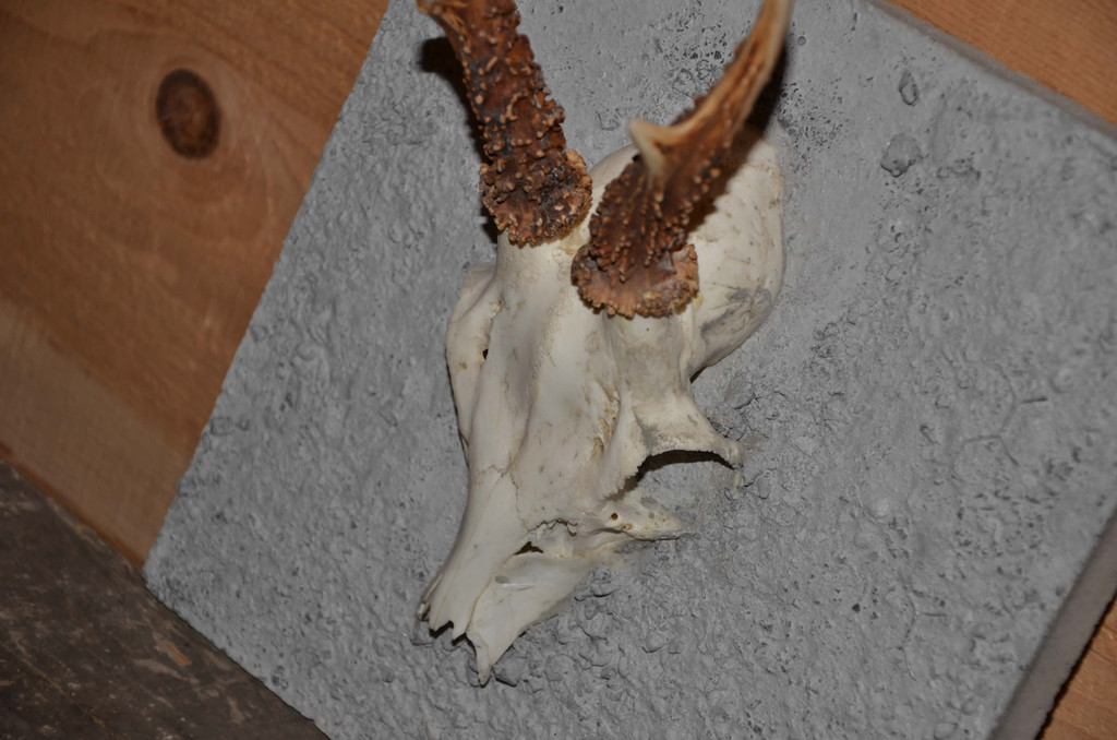 DSC_9352 - Kopie_jpg-1363969449