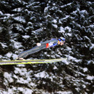 IBD1249-20130224.jpg