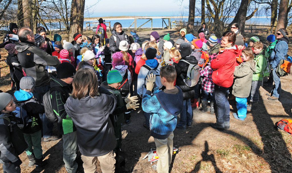 Seeputzete Gai__au 2013 4_jpg-1363973553