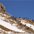 20130322_273_kanisfluh_luc_vol.JPG