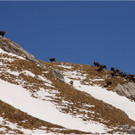 20130322_287_kanisfluh_luc_vol.JPG