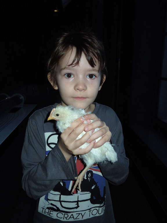 M__rz 20 089.JPG