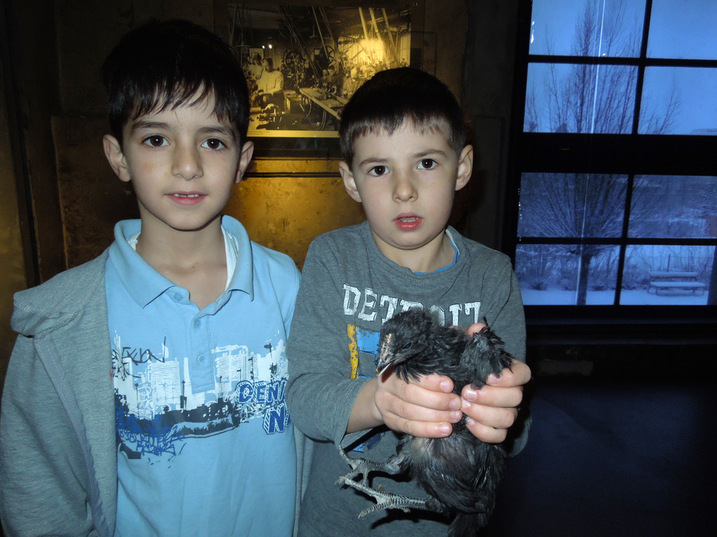 M__rz 20 090.JPG