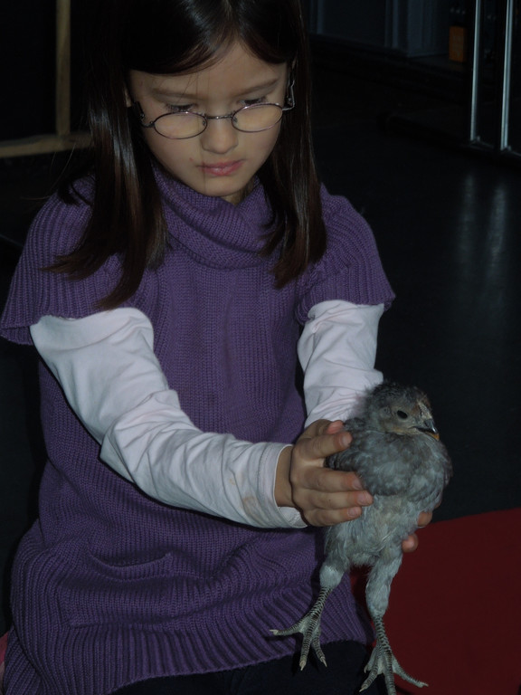 M__rz 20 104.JPG