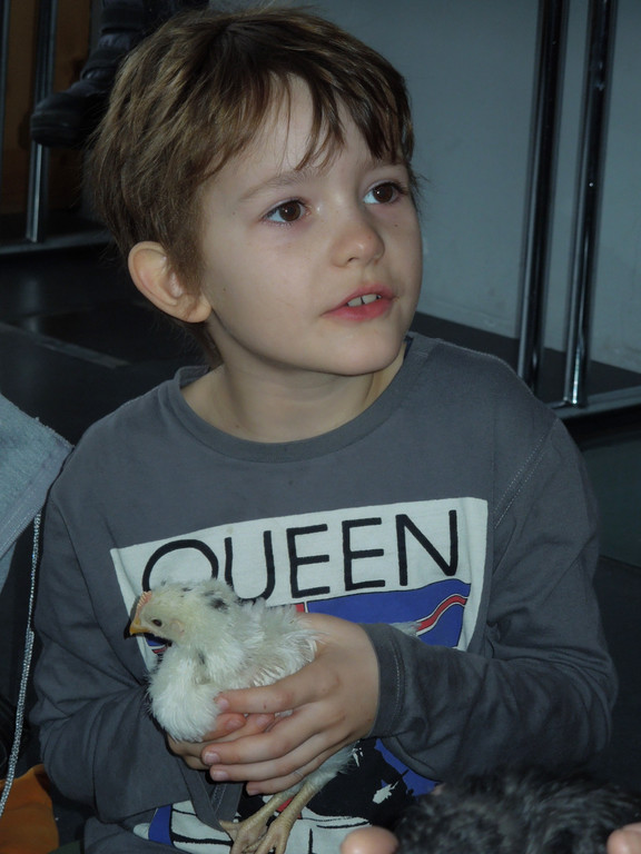 M__rz 20 106.JPG