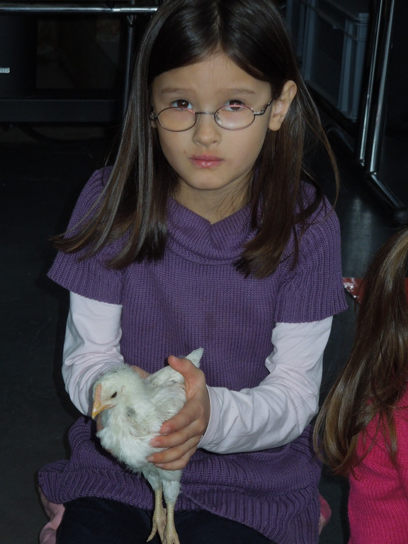 M__rz 20 113.JPG