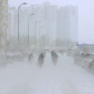IBD0730-20130323.jpg