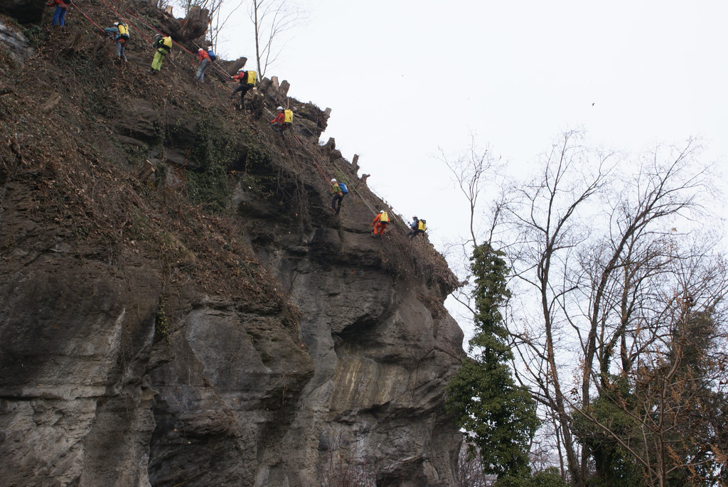 DSC09204_JPG-1364051119