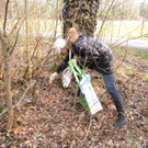 BK_Flurreinigung_Nofels-6_jpg-1364057997