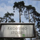 BK_Flurreinigung_Nofels-25_jpg-1364058261