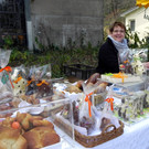 DSCN0347.JPG