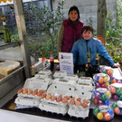 DSCN0348.JPG