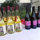 DSCN0344.JPG