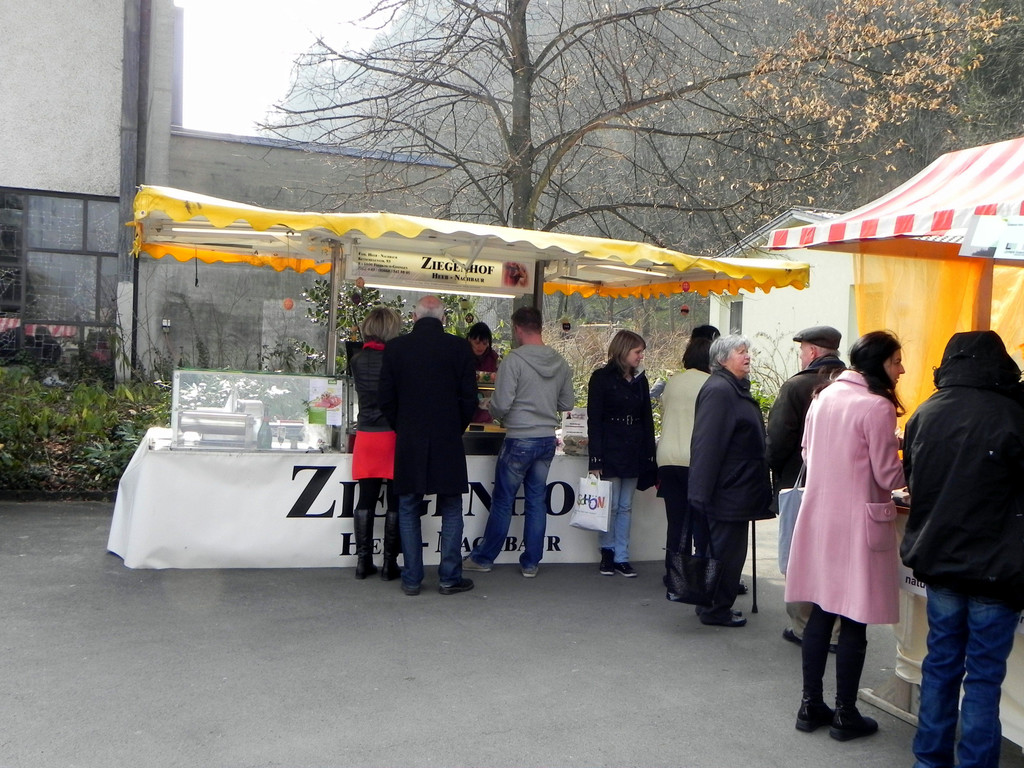 DSCN0378.JPG