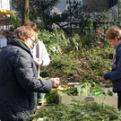 DSCN0366.JPG