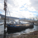 AA Hafen Holzdalben NEU _4__jpg-1364068490