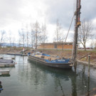 AA Hafen Holzdalben NEU _5__jpg-1364068494